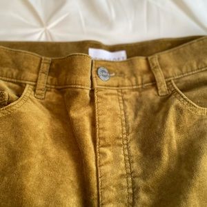 LOFT Velvet Skinny Pants with High Waist